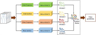 Multi-scale and attention enhanced graph convolution network for skeleton-based violence action recognition